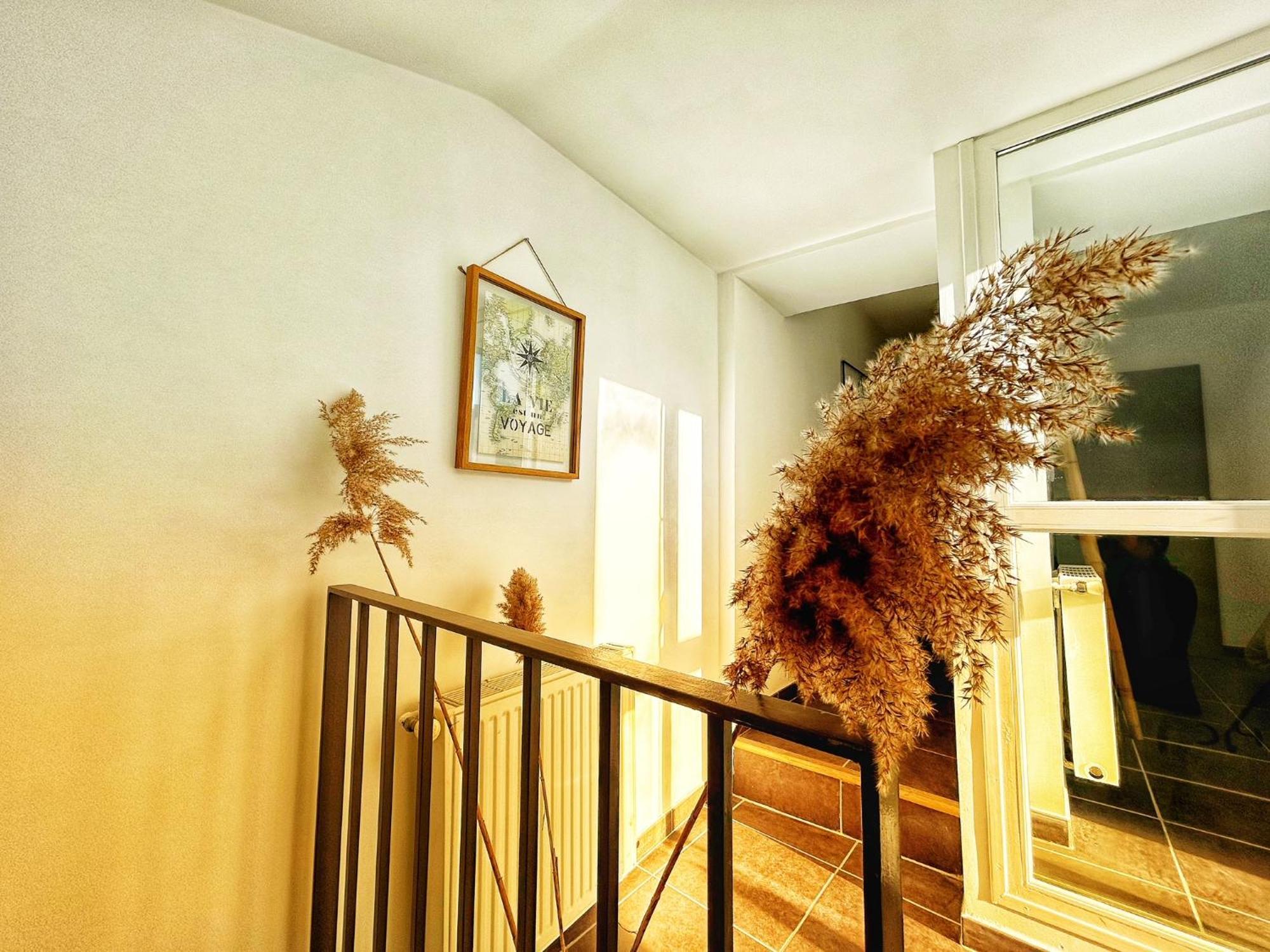 Olive Serenity Arles Exterior photo